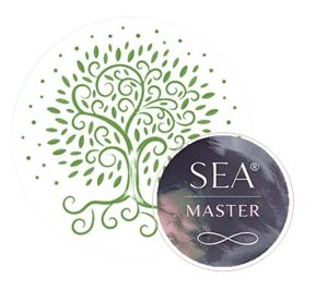 Traumasensible Systemarbeit